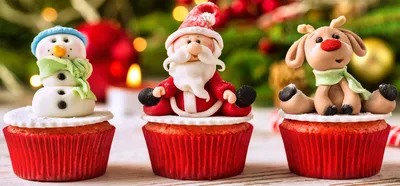 Holiday Cupcake Fun
