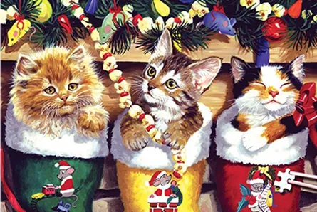 Holiday cat family