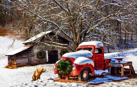 Snowy truck and dog