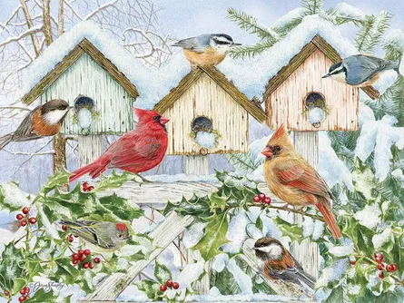 Winter birds gather peacefully