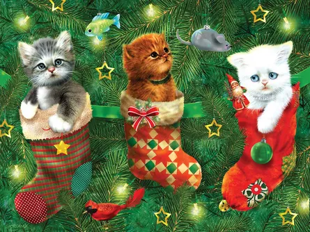 Kittens in festive stockings