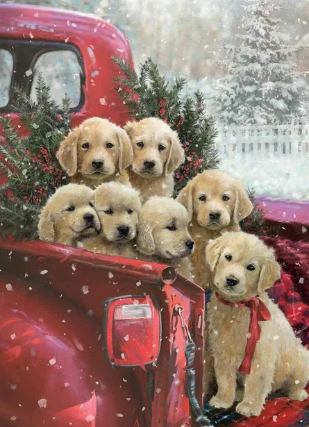 Golden retriever puppies in truck