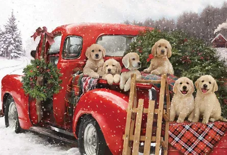 Christmas, dogs, truck, snow