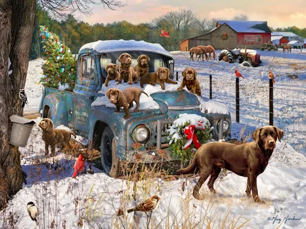 Christmas dogs in truck