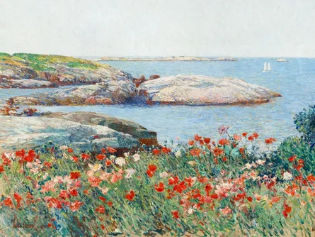 Flower field by sea