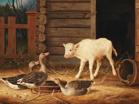 Ducks, cow and bird