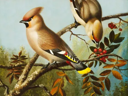 Painted birds on branch