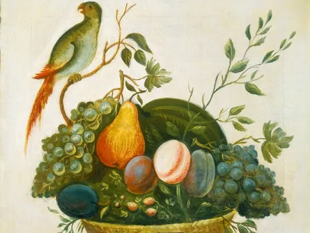 Fruit and bird