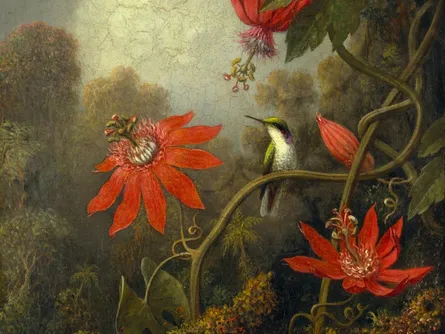 Red flowers with hummingbirds