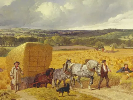 Farmers working in the field