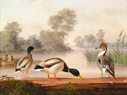 Ducks in painting