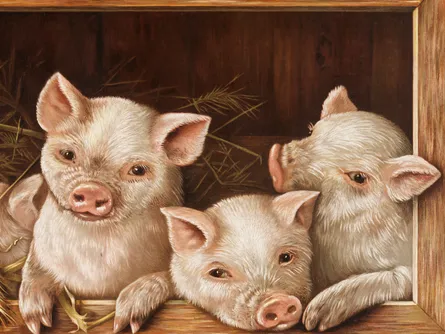 Three pigs in basket