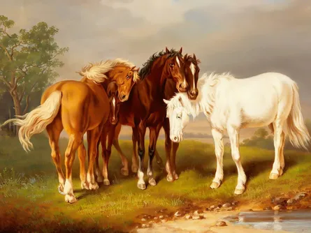 Four horses in field