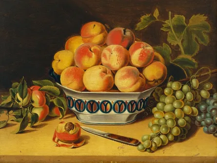 Fruit bowl with apples and grapes