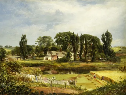 Rural landscape with farm