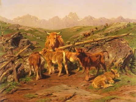 Herd of cows in pasture