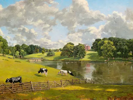 Pastoral scene with cows