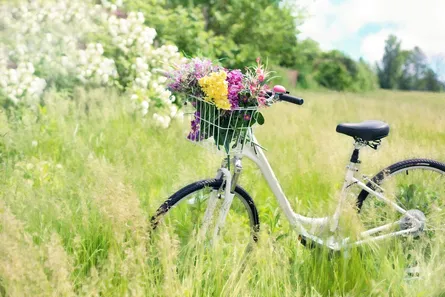 Bike in field with flowers