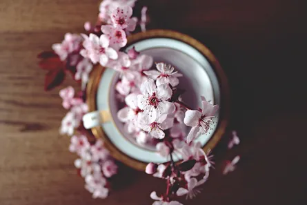 Blossoms on coffee cup