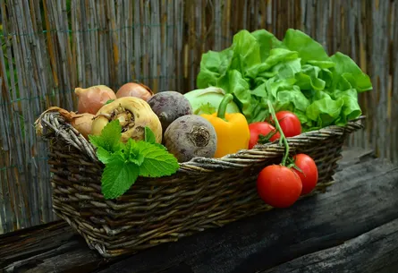 Fresh vegetables in basket