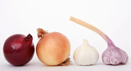 Onions on display