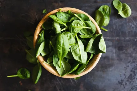 Green leaves in bowl