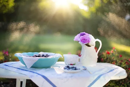 Sunny day, tea set