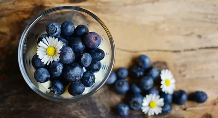 Blueberries, daisy, glass bowl