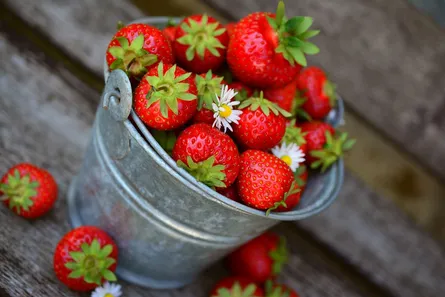 Strawberries in bucket