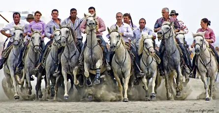 Men on horses in formation