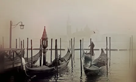 Foggy docked boats