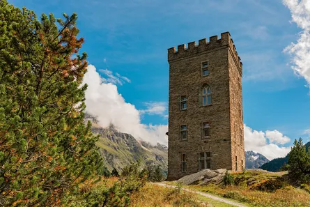 Castle in the middle of nature