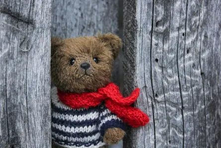 Teddy bear with scarf and sweater