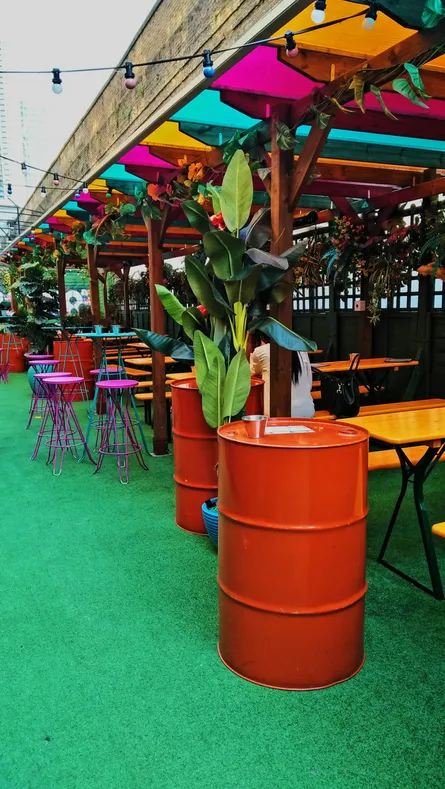 Colorful umbrella with plants and food