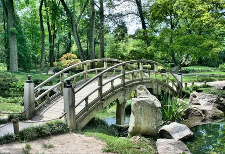 Bridge in a park