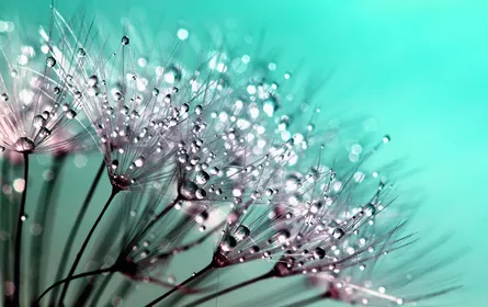 Beautiful water droplets