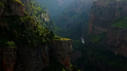 Sunlight on canyon walls