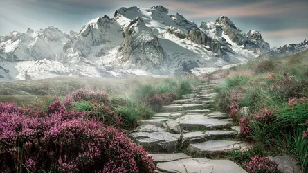 Path to mountain range