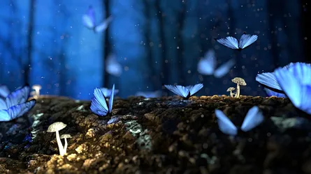 "Fluttering fairies in a forest"