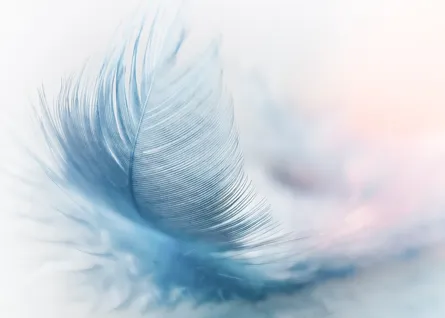 Feather floating in air