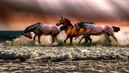 Horses gallop by ocean