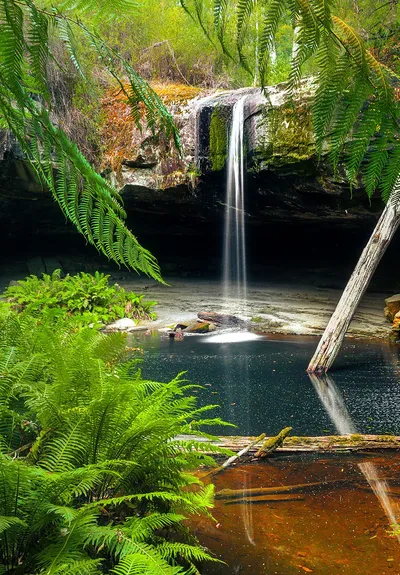 Waterfall in a jungle setting