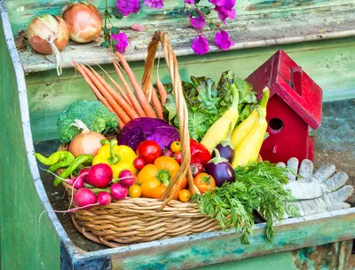 Colorful vegetables basket