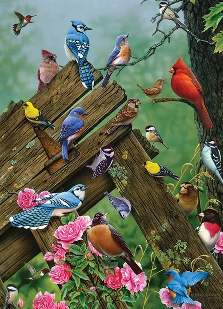 Many birds on branch