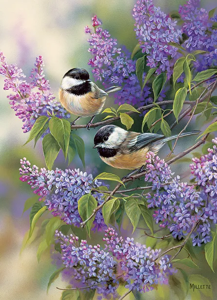 Two birds among flowers