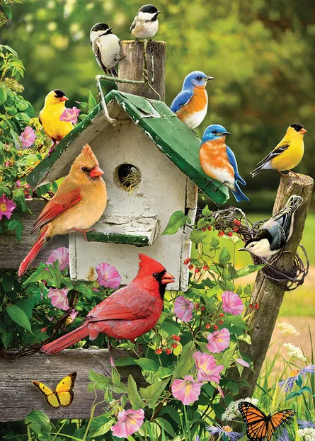 Colorful birds around birdhouse