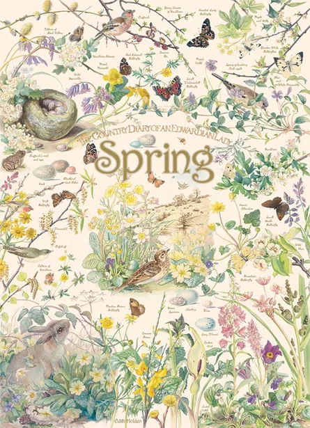 Spring nature illustration collage