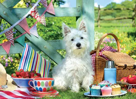 Picnic with a dog