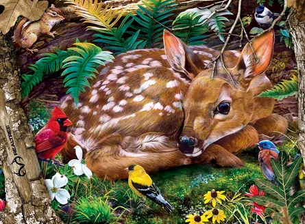 Baby deer resting peacefully