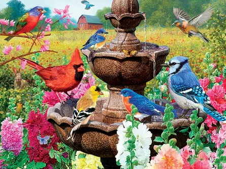 Birds around a fountain